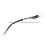 Faisceau de rechange pour stator PX Arcobaleno 5 fils